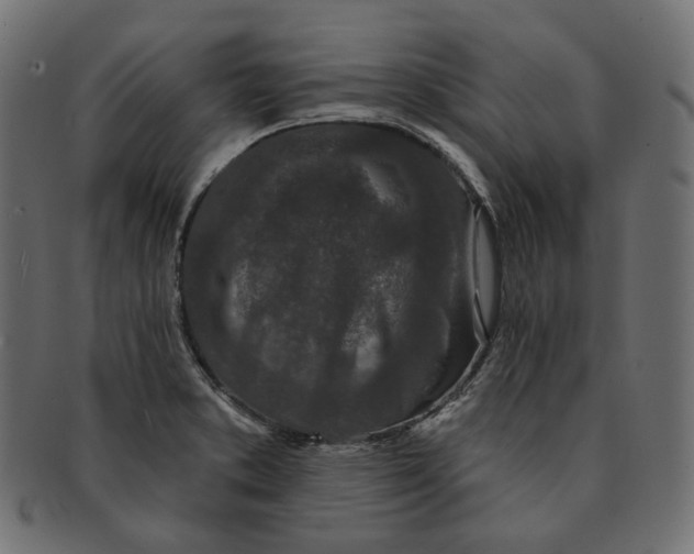 X0000091531373200709071031