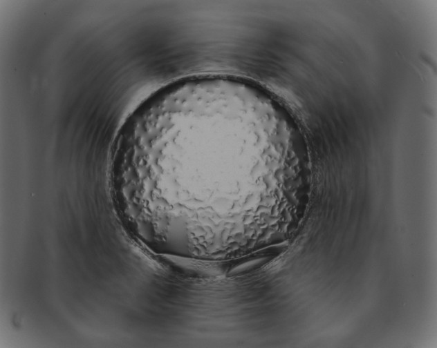 X0000091531374200709071031
