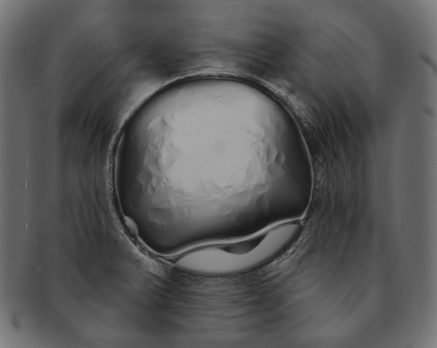 X0000091531375200709071031
