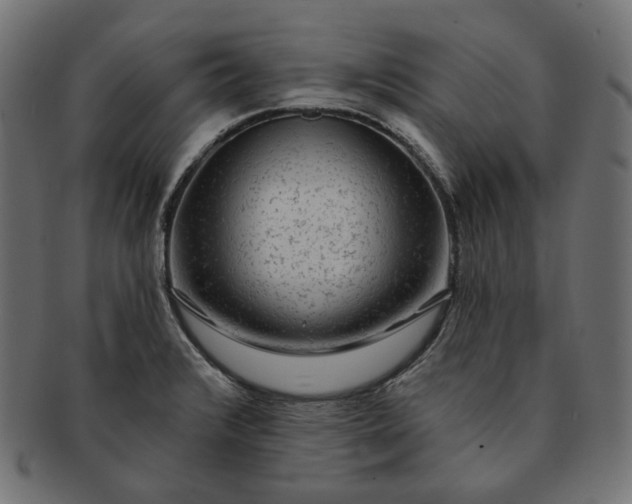 X0000091531376200709071031