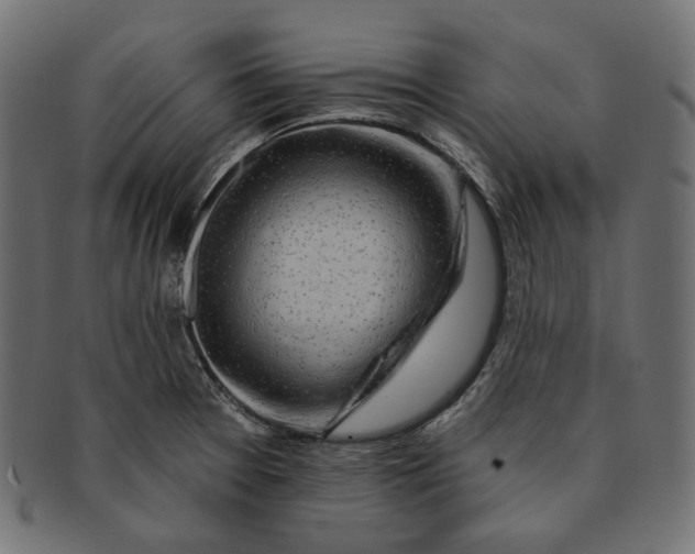 X0000091531377200709071031