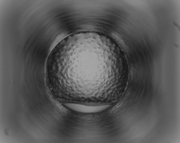 X0000091531378200709071031