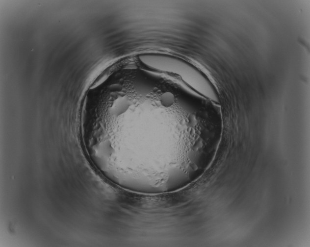 X0000091531379200709071031