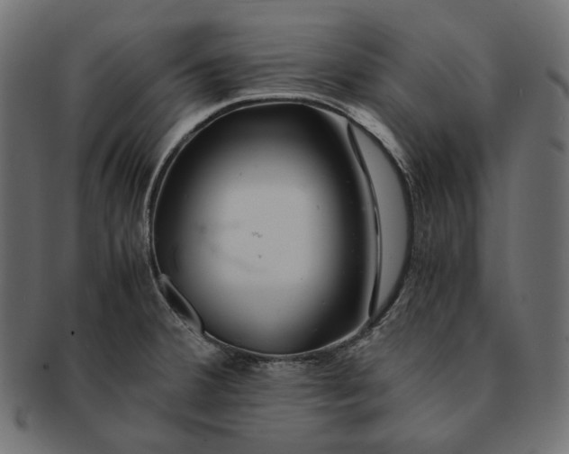 X0000091531380200709071030