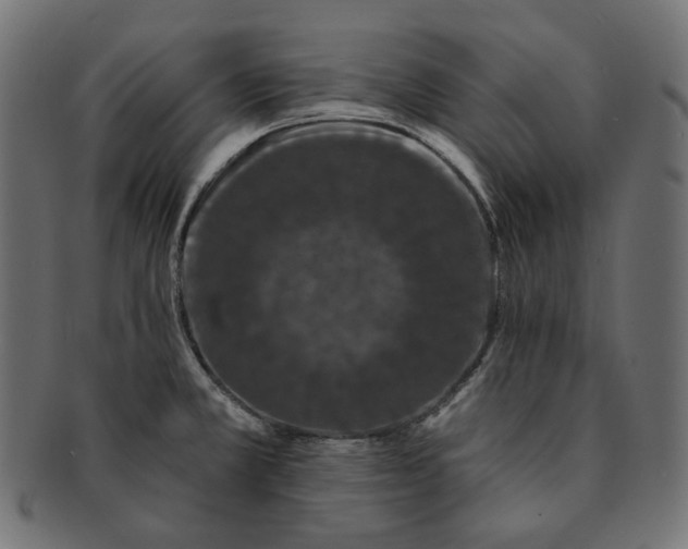 X0000091531381200709071030