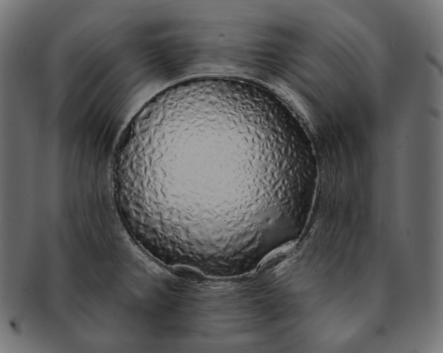 X0000091531382200709071030