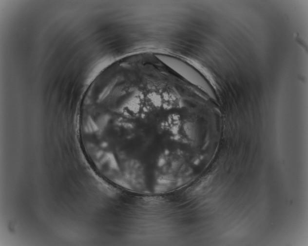 X0000091531383200709071030