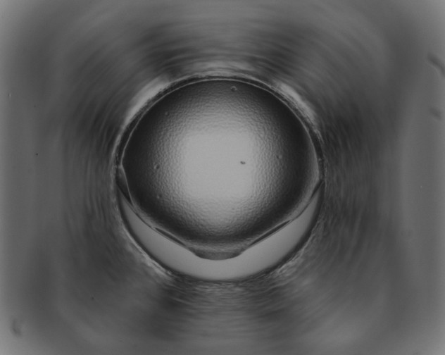 X0000091531384200709071030