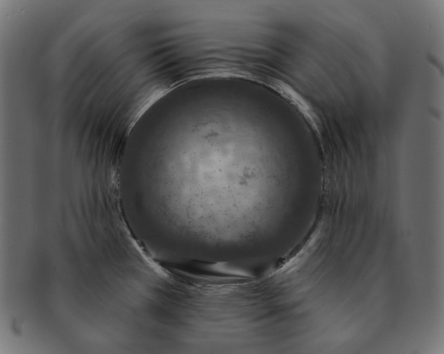 X0000091531385200709071030