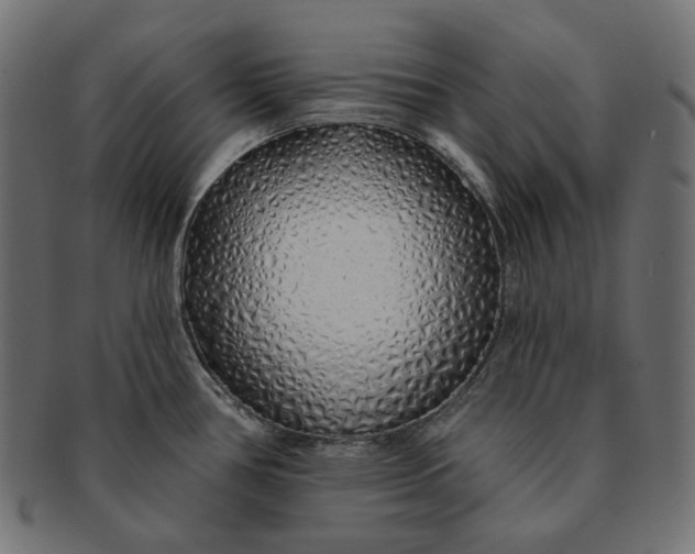 X0000091531386200709071030