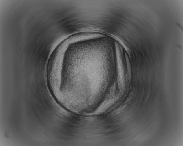 X0000091531387200709071030