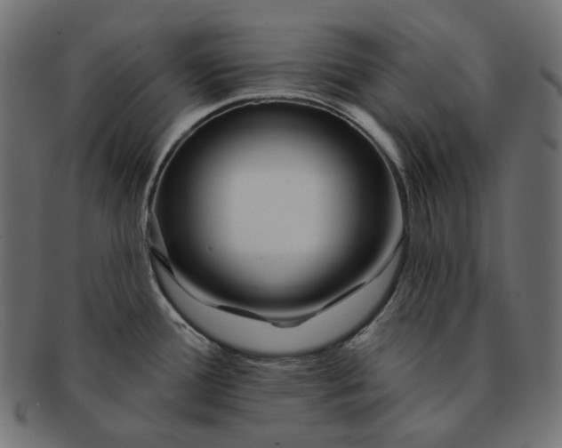 X0000091531388200709071030