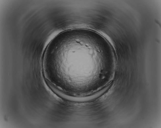 X0000091531389200709071030