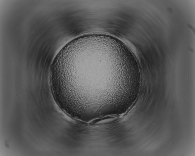 X0000091531390200709071030