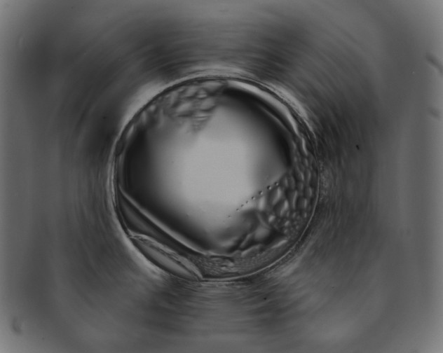 X0000091531391200709071030