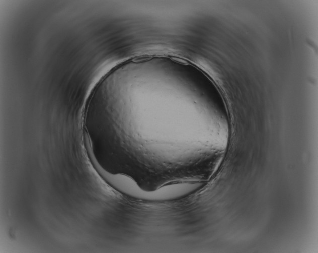 X0000091531392200709071030