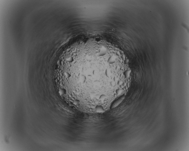 X0000091531393200709071030