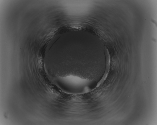 X0000091531394200709071030