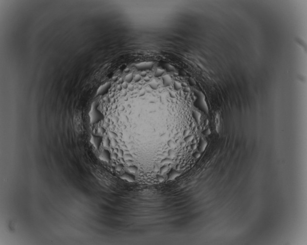 X0000091531395200709071030