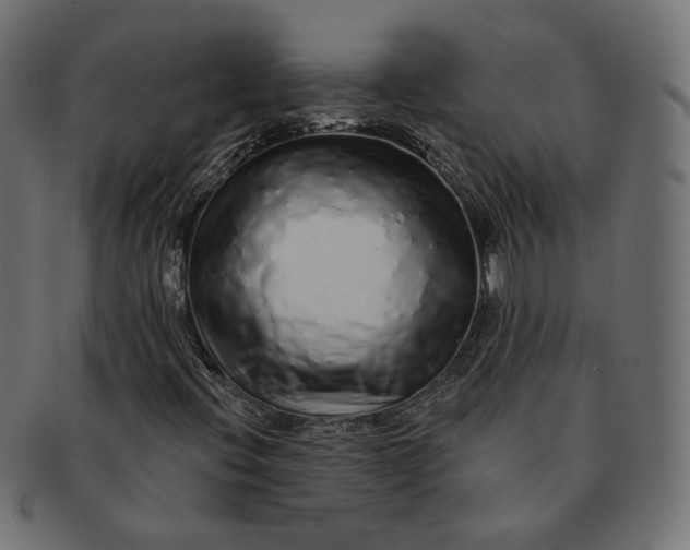 X0000091531396200709071030