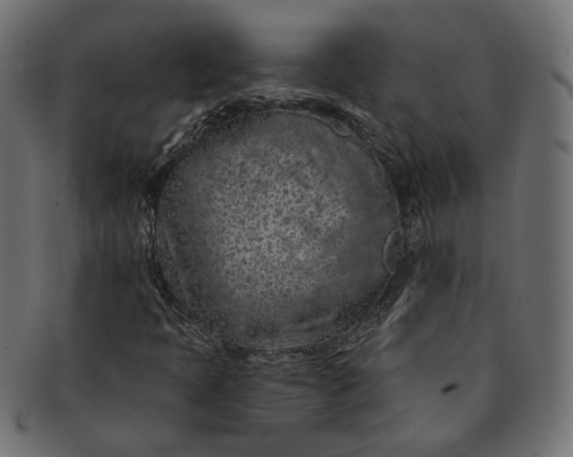 X0000091531397200709071030