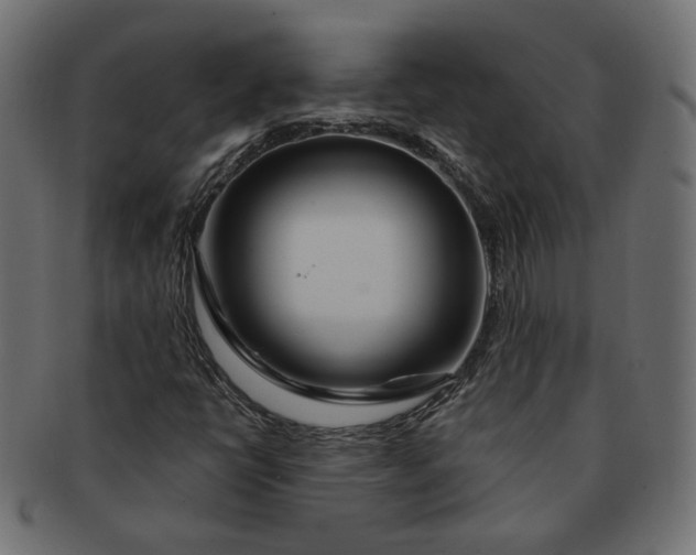 X0000091531398200709071030