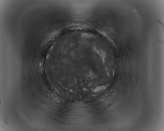 X0000091531399200709071030