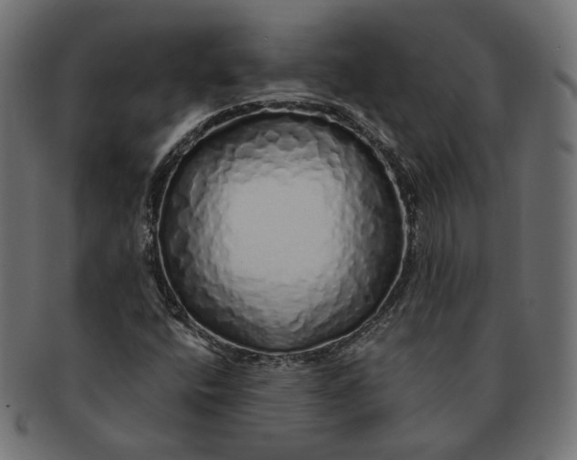 X0000091531400200709071030