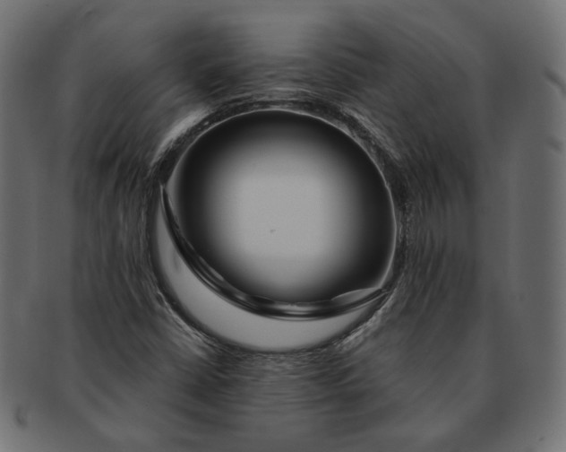 X0000091531402200709071030