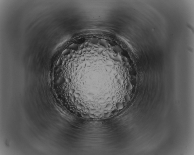 X0000091531403200709071030