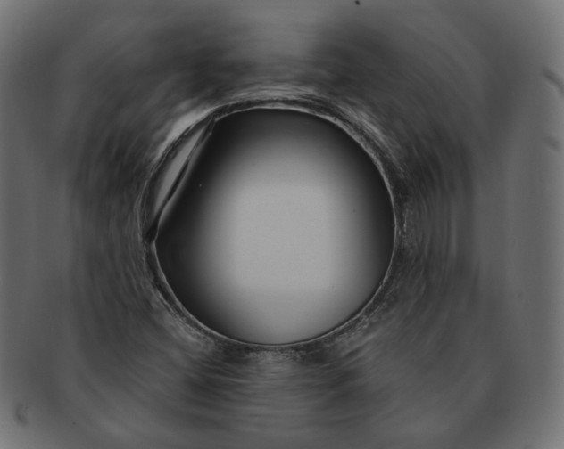 X0000091531404200709071030