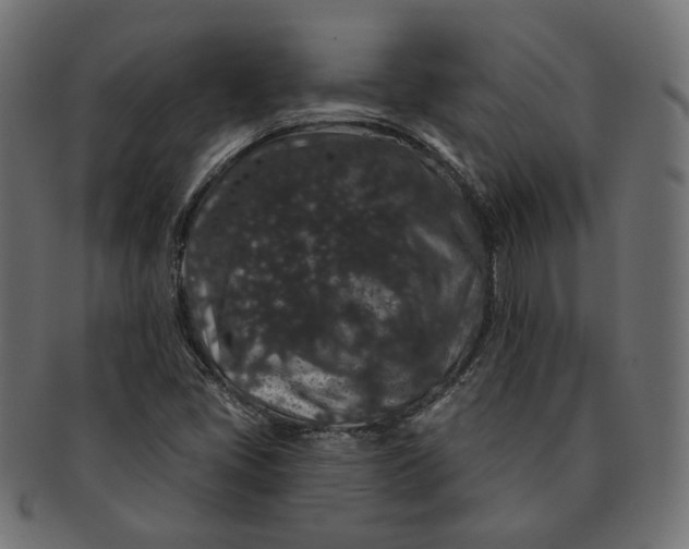 X0000091531405200709071030