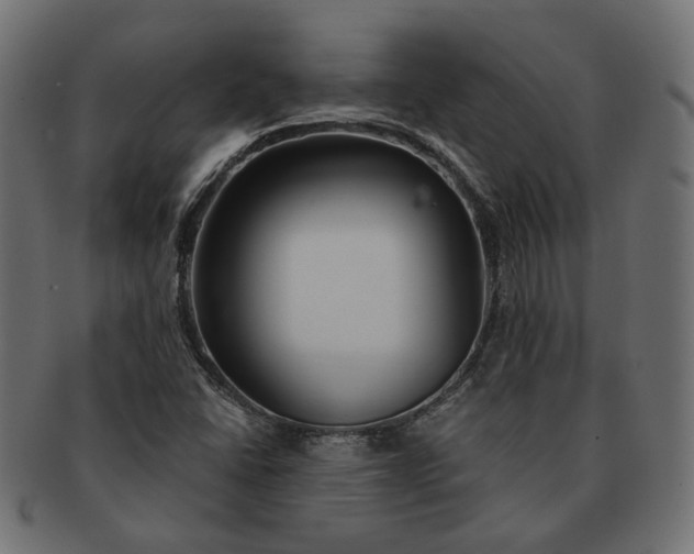 X0000091531406200709071030