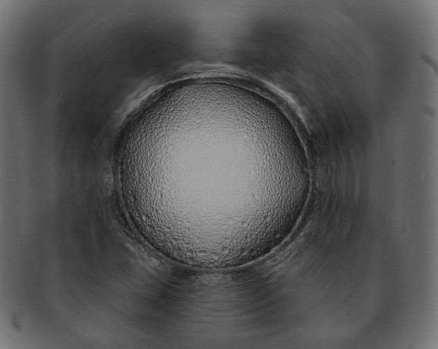 X0000091531407200709071030