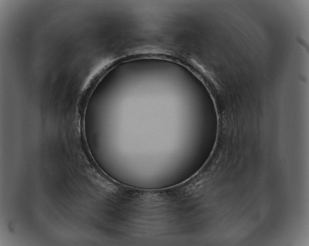 X0000091531408200709071030