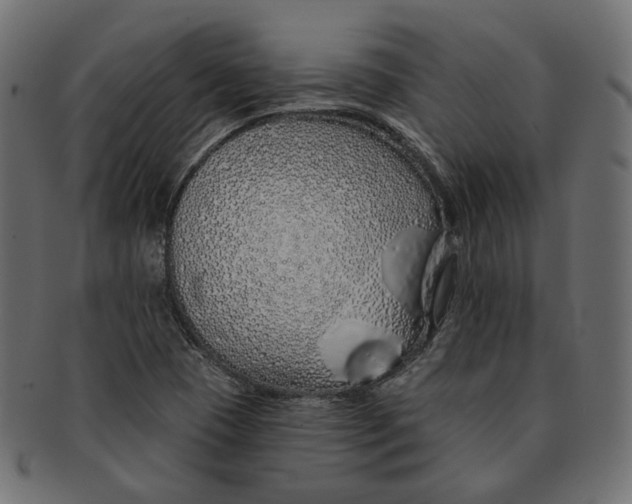 X0000091531409200709071030