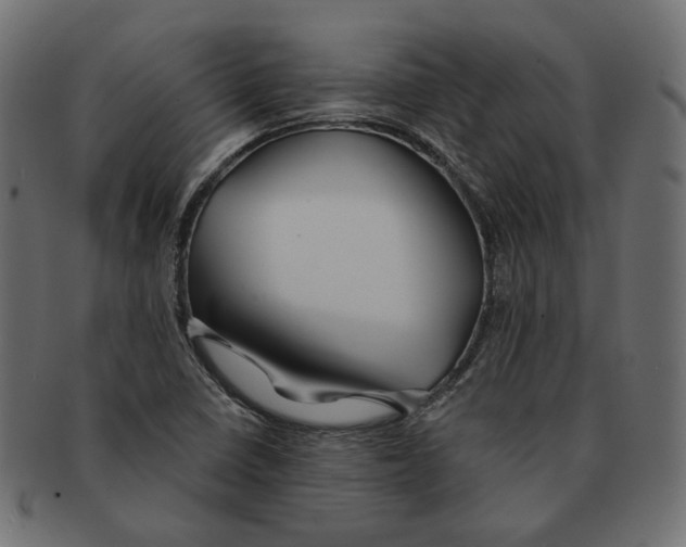 X0000091531410200709071030