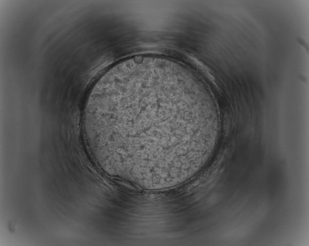 X0000091531411200709071030