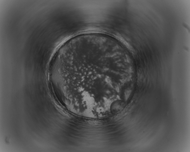 X0000091531413200709071030
