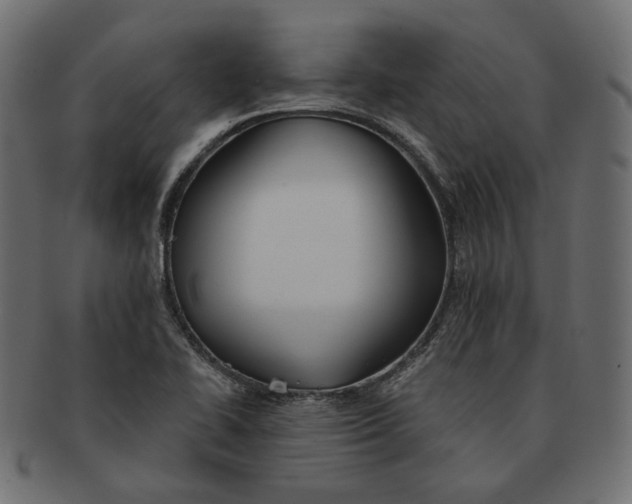 X0000091531414200709071030
