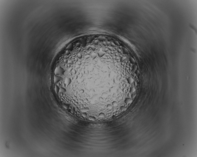 X0000091531415200709071030