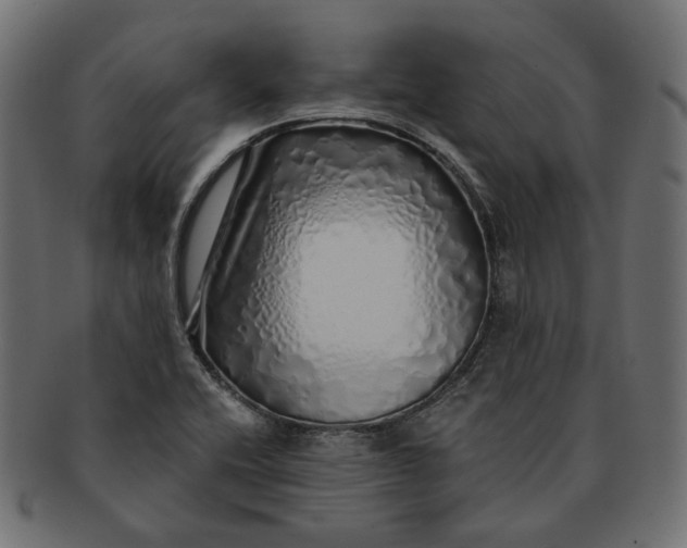 X0000091531416200709071030