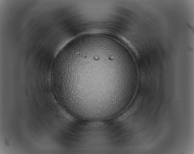 X0000091531417200709071030