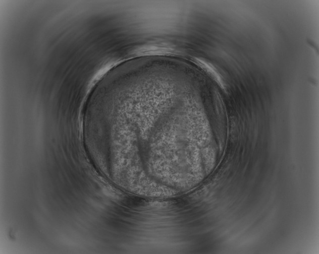X0000091531419200709071030