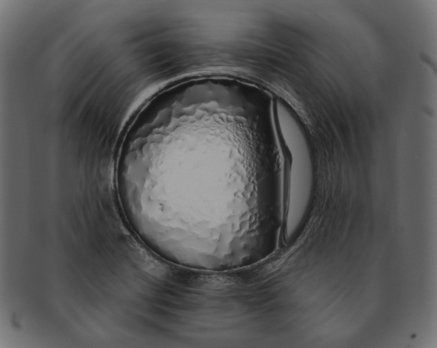 X0000091531420200709071030
