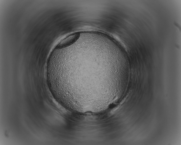 X0000091531421200709071030