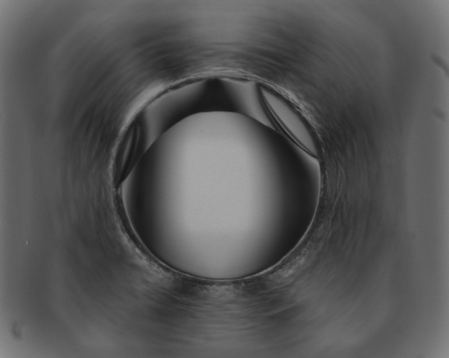X0000091531422200709071030