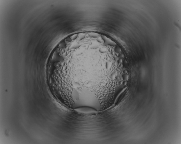 X0000091531423200709071030