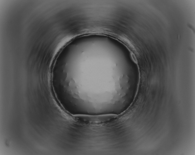 X0000091531424200709071030