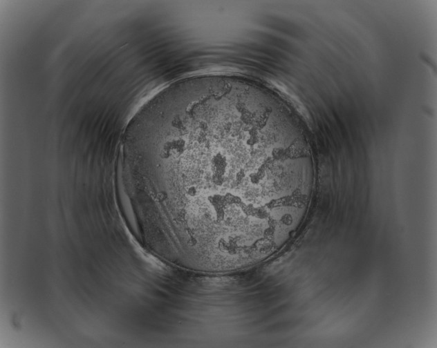 X0000091531425200709071030